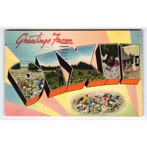Vintage 1952 Greetings From Dixie Cotton Field Letter Postcard Spartanburg SC